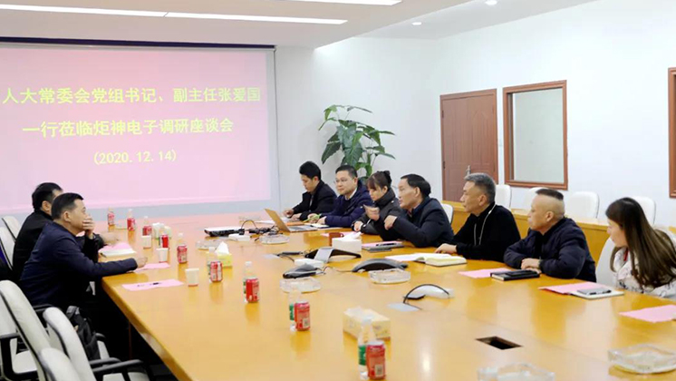 郴州市人大常委會黨組書記、副主任張愛國到炬神電子調研安全生產工作